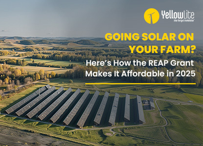 Going Solar on Your Farm? Here’s How the REAP Grant Makes It Affordable in 2025