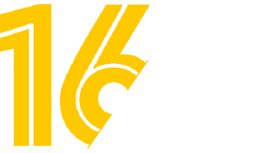 YL 16year logo