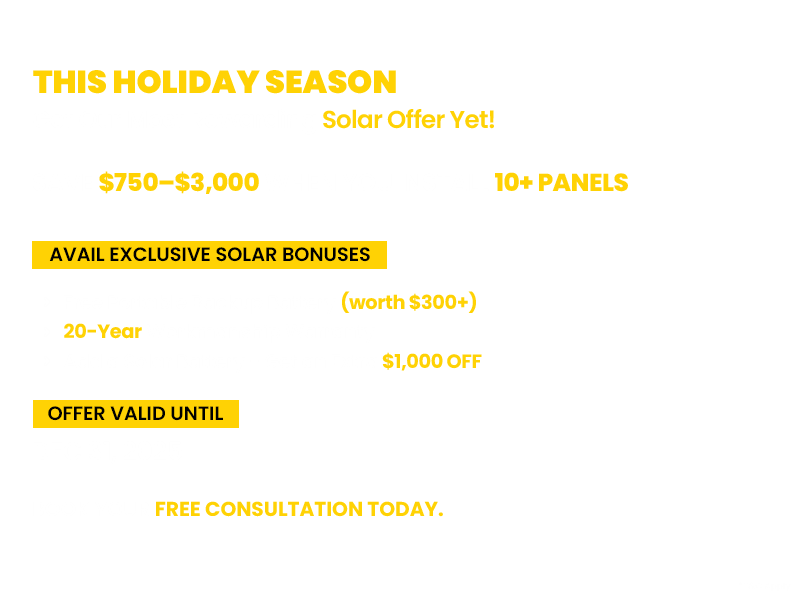 Holiday Season Offer
