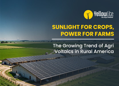 Sunlight for Crops, Power for Farms: The Growing Trend of Agri Voltaics in Rural America