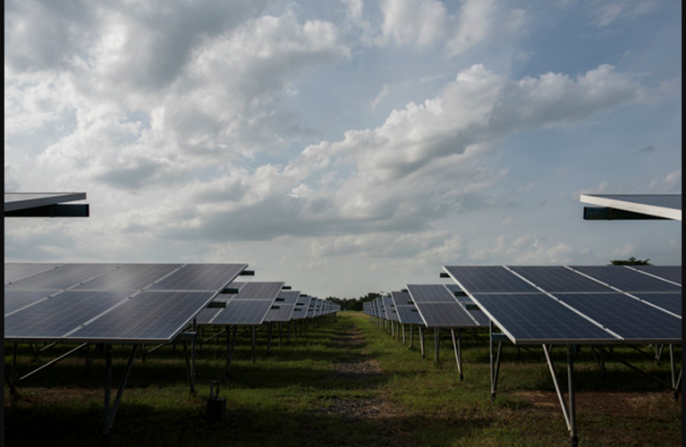 Solar Farms - The Goldmine Crop
