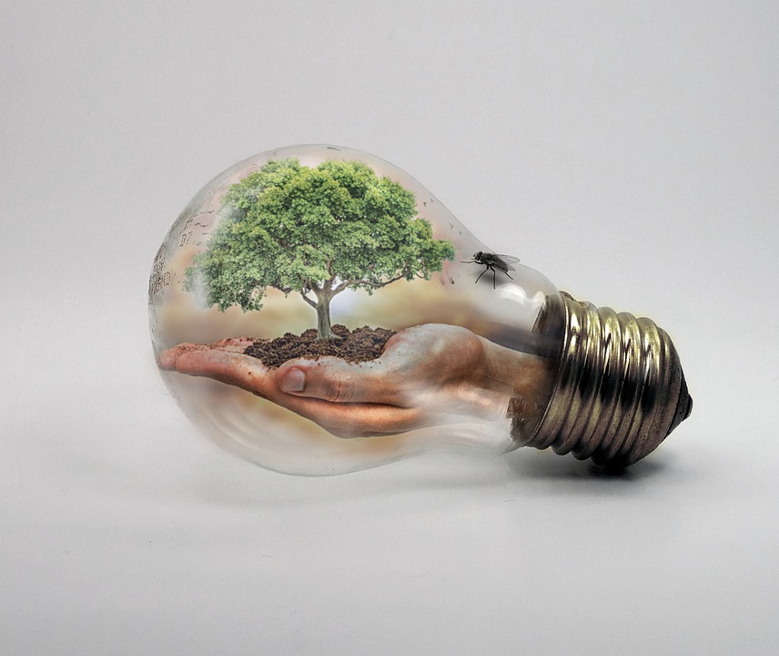 How To Flatten The Climate Change Curve